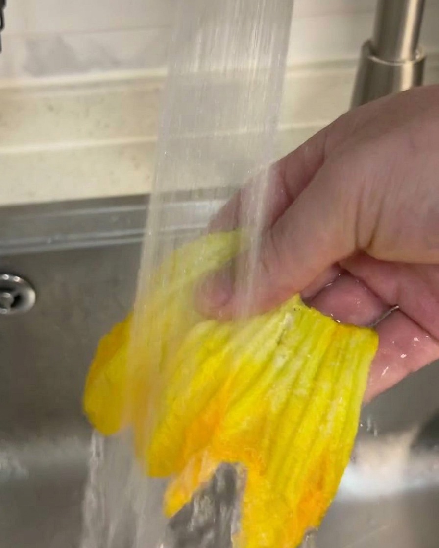 キッチンのシンクで、鮮やかなカボチャの花を流水で洗っている様子。