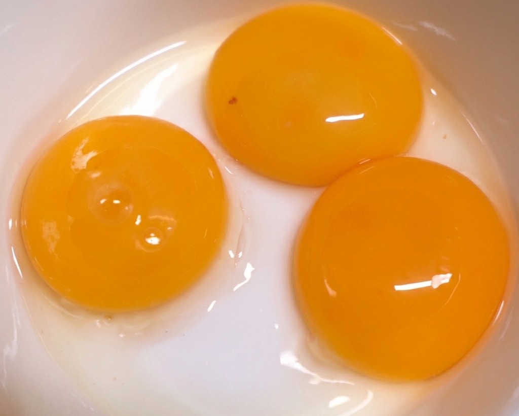 白くて清潔なボウルに入った3つの鮮やかなオレンジ色の卵黄