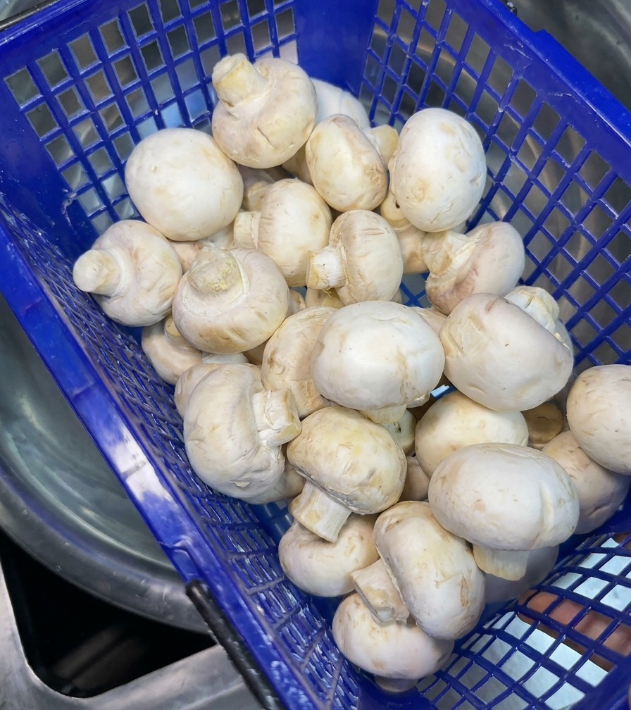 青いプラスチックのザルに入れられた、水洗い前の新鮮な丸ごとのホワイトマッシュルーム。