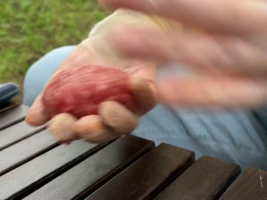 手袋をはめた両手の間で、味付けした丸い牛ひき肉の塊を勢いよく投げ合っている躍動感のあるカット。