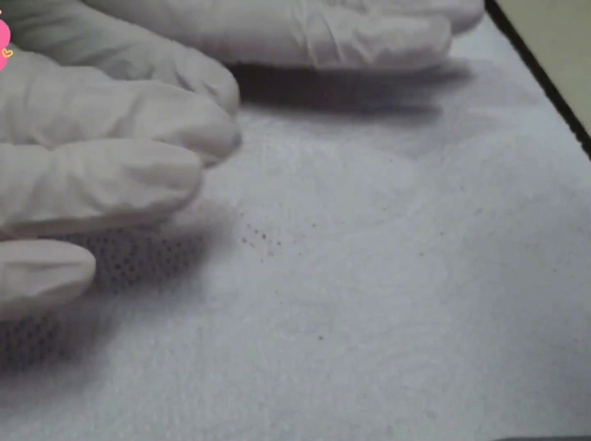 キッチンペーパーで牛ヒレ肉の水分を拭き取っている様子。