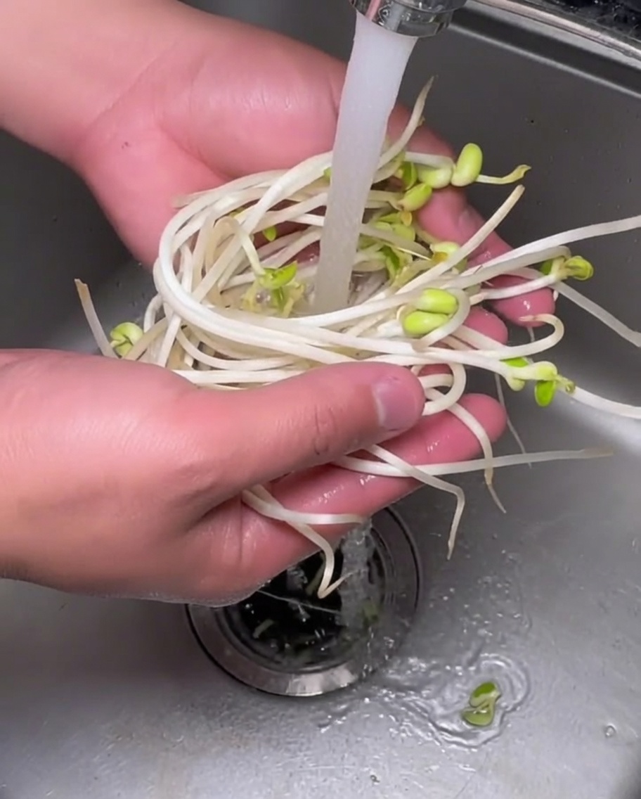 流水で洗われている大豆もやし。