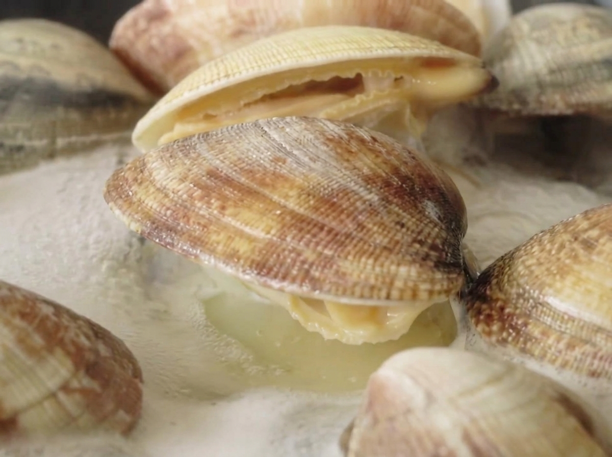 沸騰したお湯の鍋で茹でられる新鮮な貝。いくつかの殻がしっかりと開いている。